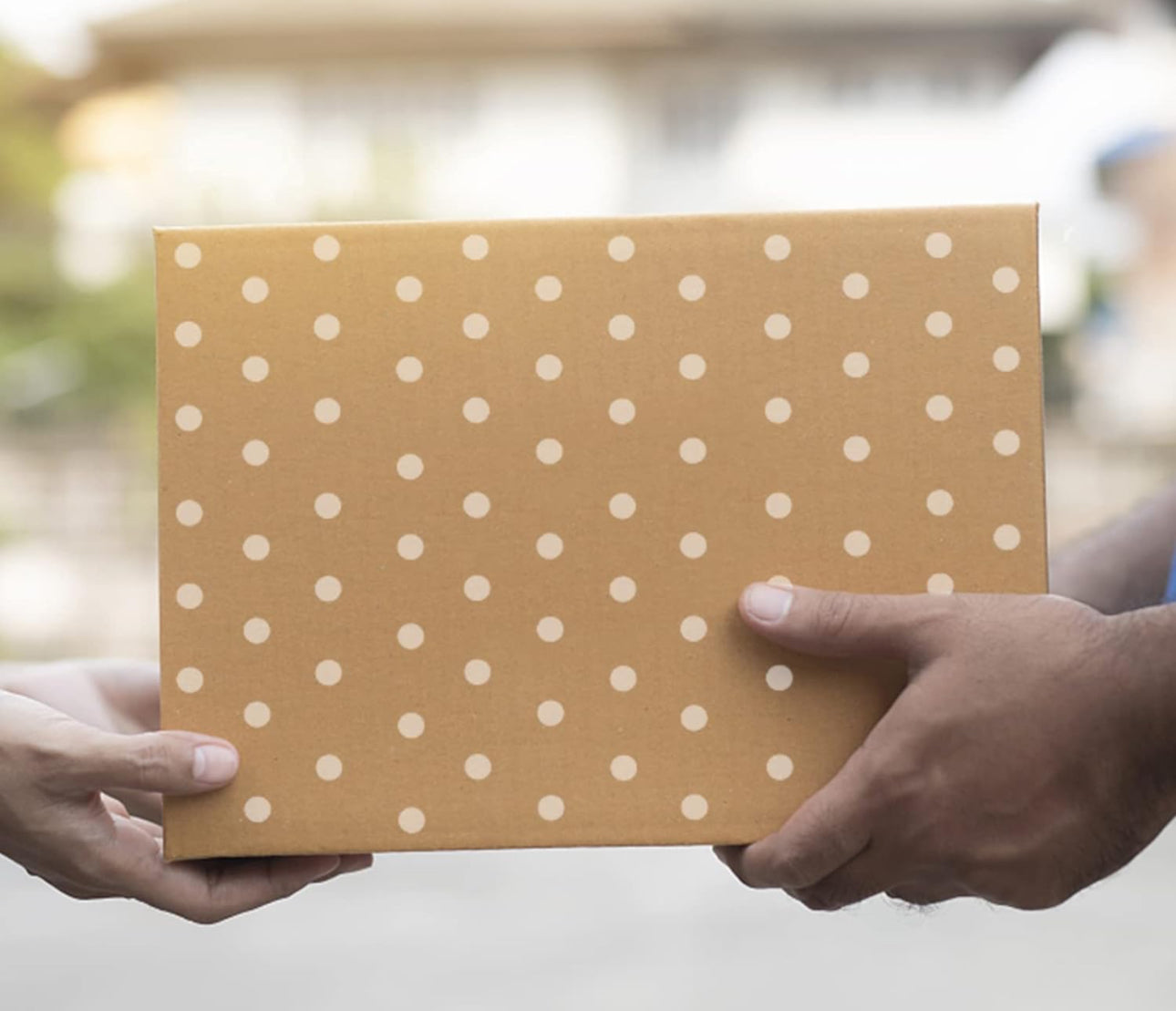 Mini by BC Subscription Boxes
